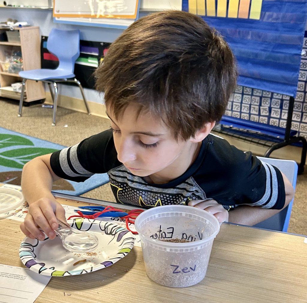 2nd Grade Mini Entomologists Raising Mealworms Together