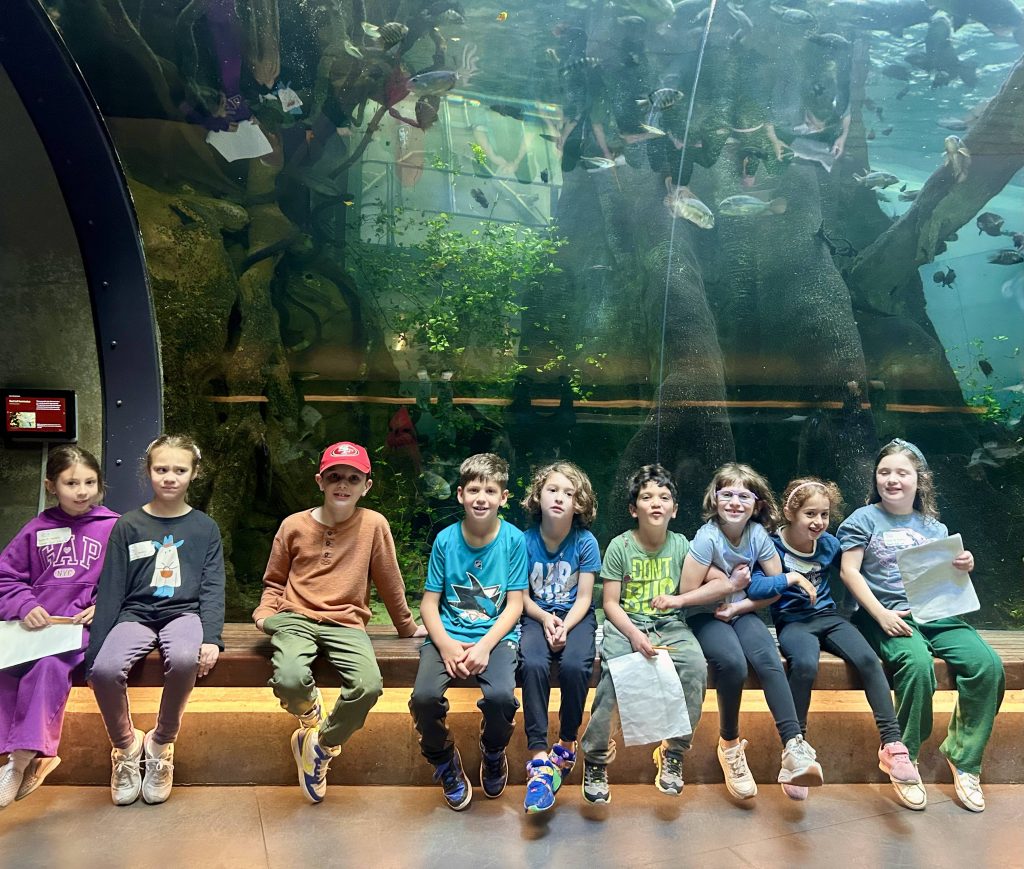 Spotlight On Kitah Bet