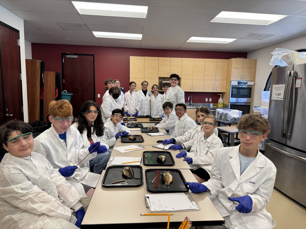 7th Grade Science Class
